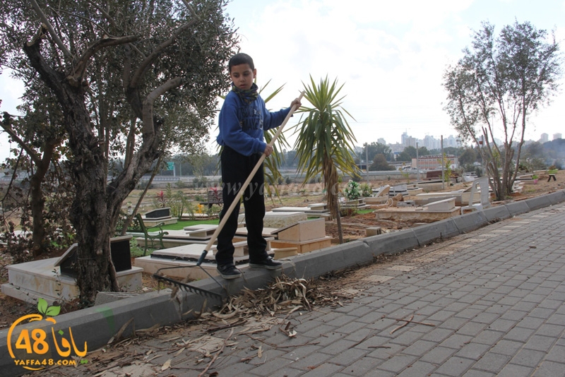 taso mashro3 tandaef (34).JPG